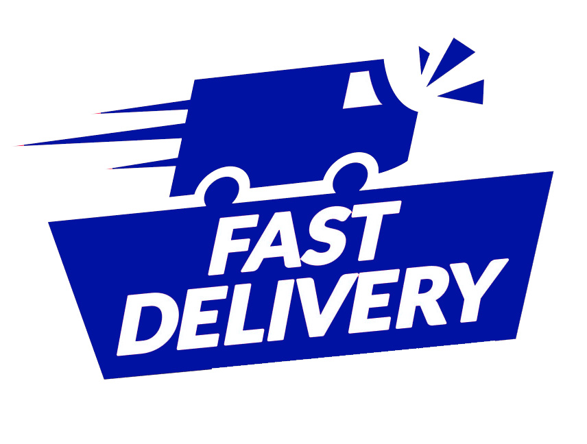 Rapid Courier Services Van - Fast Delivery in Kentucky